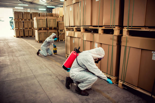 Best Best Pest Control Companies  in Avis, PA