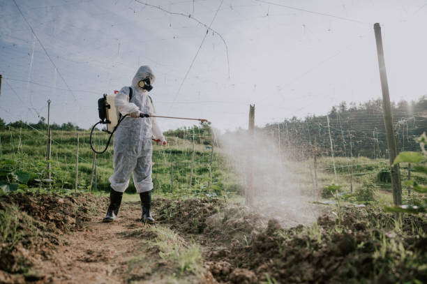 Best Pest Removal Services  in Avis, PA