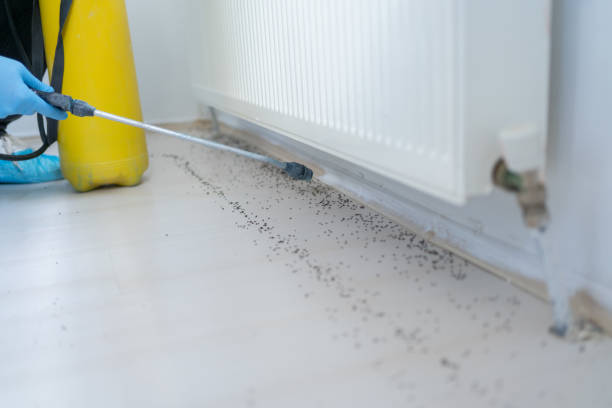 Pest Control Cost in Avis, PA
